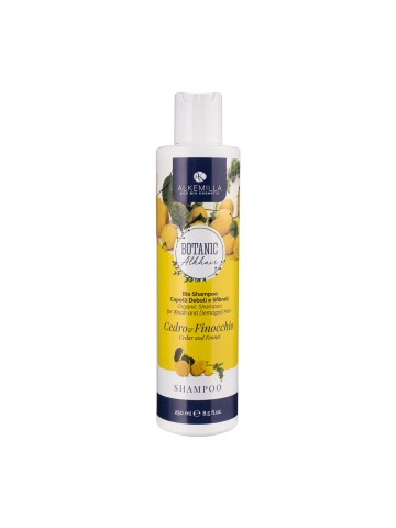 Bio Shampoo Cedro e Finocchio - Alkemilla